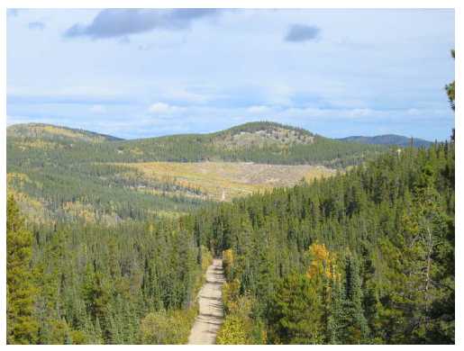 English: Mining claim No. 17 Eldorado Creek, Yukon Territory, ca