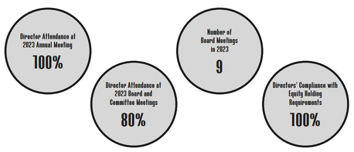 Director Equity Ownership Graphic