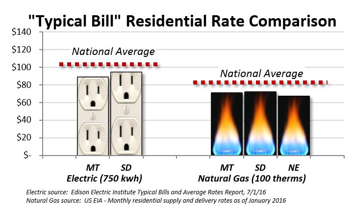 a2017typicalbill3.jpg