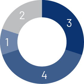 pie_directorDashboard_tenure.jpg