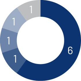 pie_directorDashboard_race.jpg