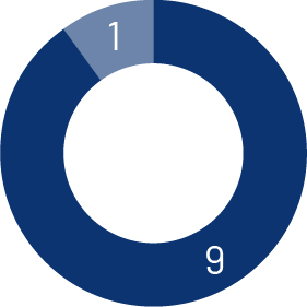 pie_directorDashboard_Independence.jpg