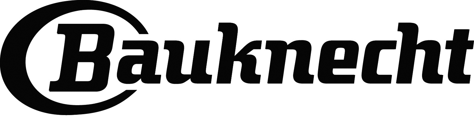 bauknechtbrandlogo.jpg