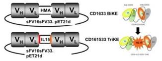 Diagram

Description automatically generated