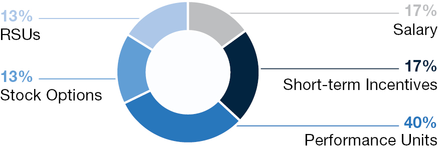 piechart_ngoldman-actualcompensation.jpg