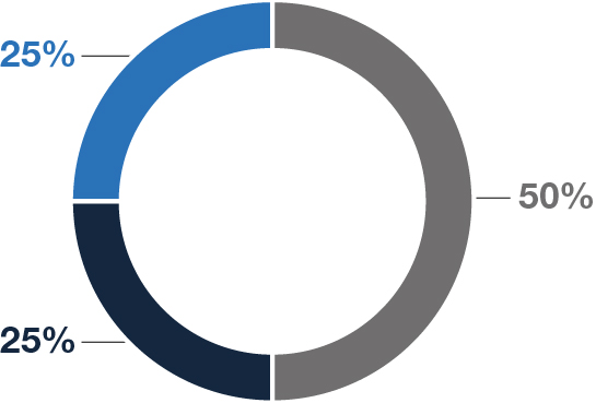 pg70-piechart_LTIP1.jpg