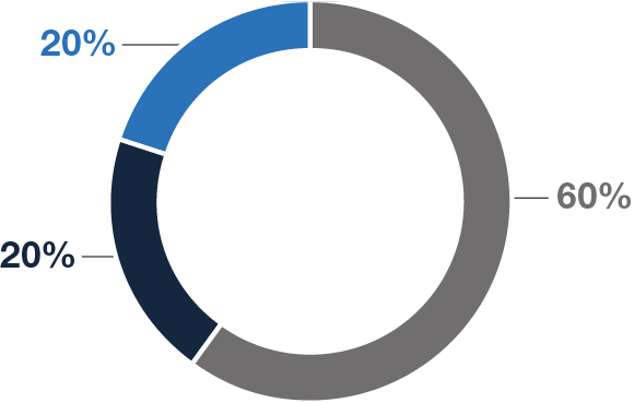 pg70-piechart_LTIP2.jpg