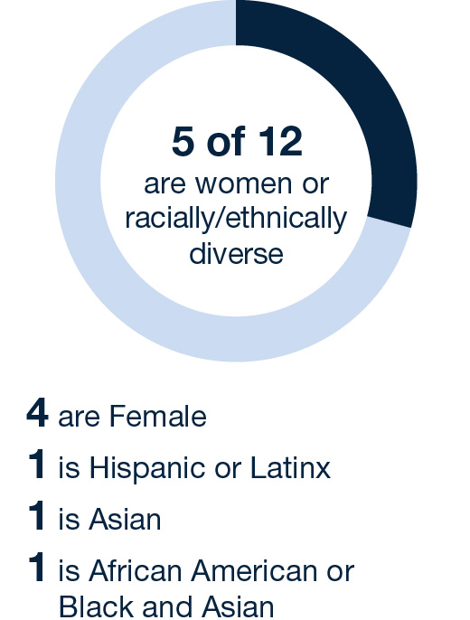 03_423607-1_piechart_diversity.jpg