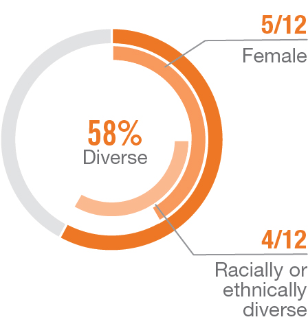 03_427857(3)_piechart_boardoverview.jpg