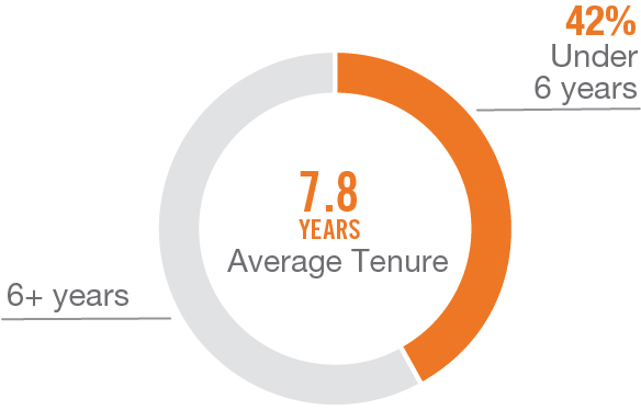 03_427857(3)_piechart_boardoverview_Tenure.jpg