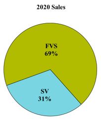 segsales2020v3.jpg