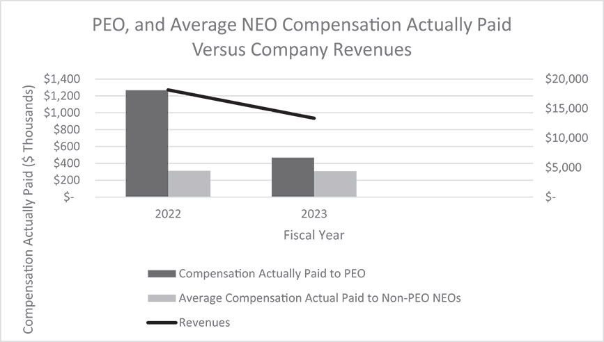 [MISSING IMAGE: bc_revenues-bw.jpg]