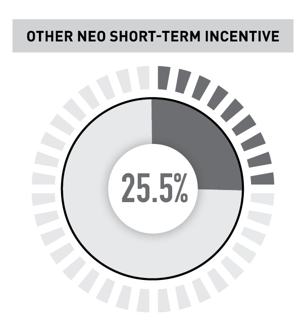 Other NEO Short-Term Incentive.jpg