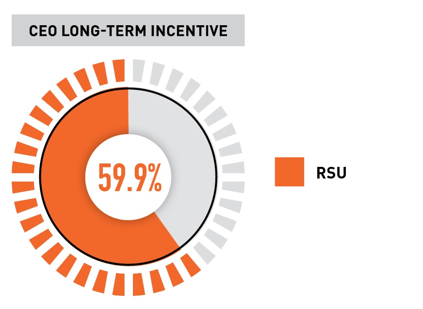 CEO Long-Term Incentive.jpg