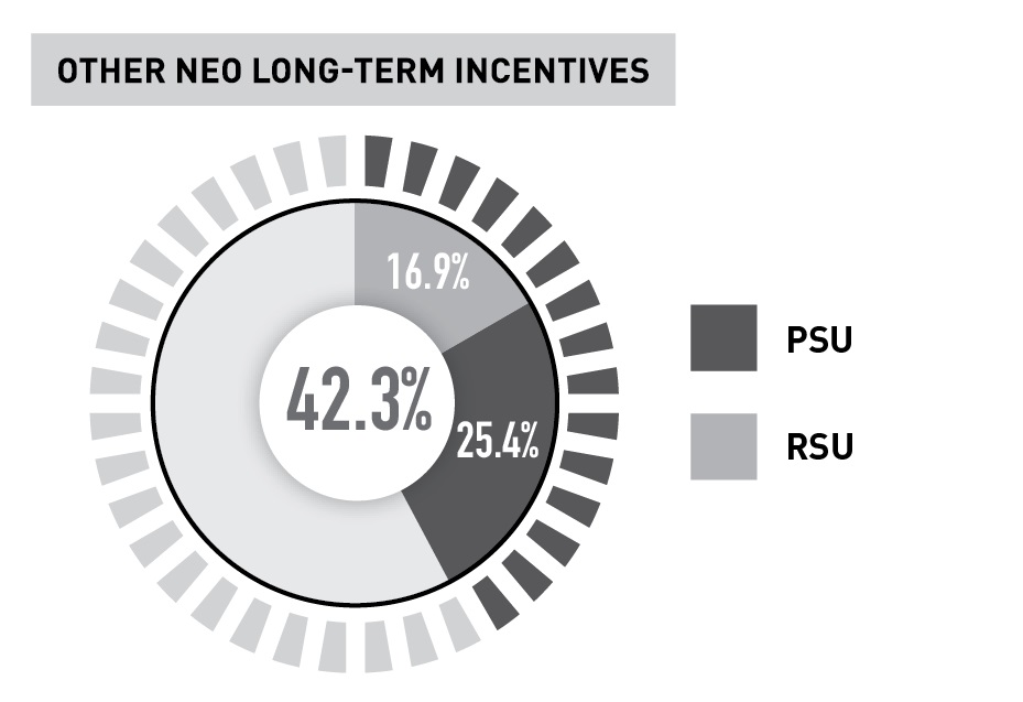 Other NEO Long-Term Incentive.jpg