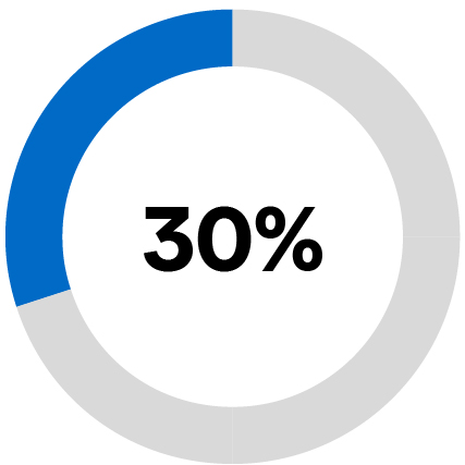 03_428893-3_piechart_strategic.jpg