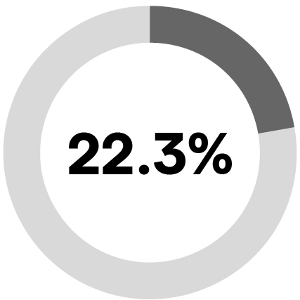 03_428893-3_piechart_neosalary.jpg