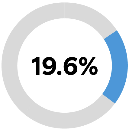 03_428893-3_piechart_ceoaic.jpg