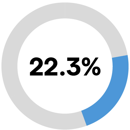 03_428893-3_piechart_neoaic.jpg