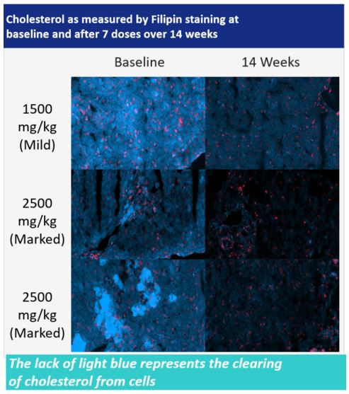 cholesterolgraph01.jpg