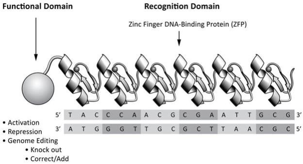 sgmo-20191231_g1.jpg