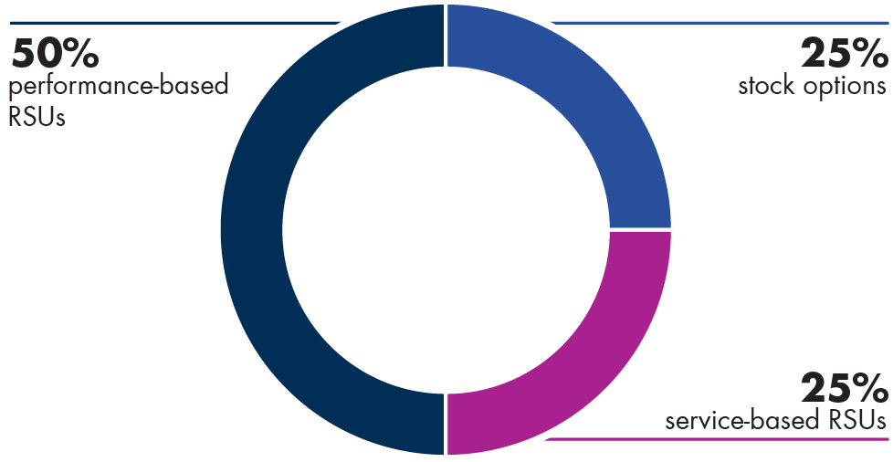 piechart_EquityCompensation_NEO.jpg