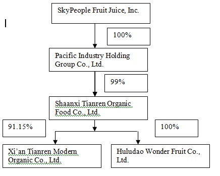 Organizational Chart