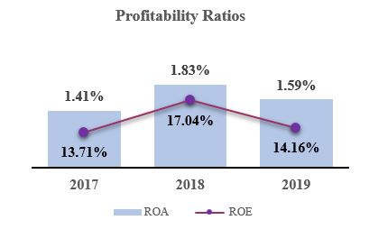 profitabilityratiosa08.jpg