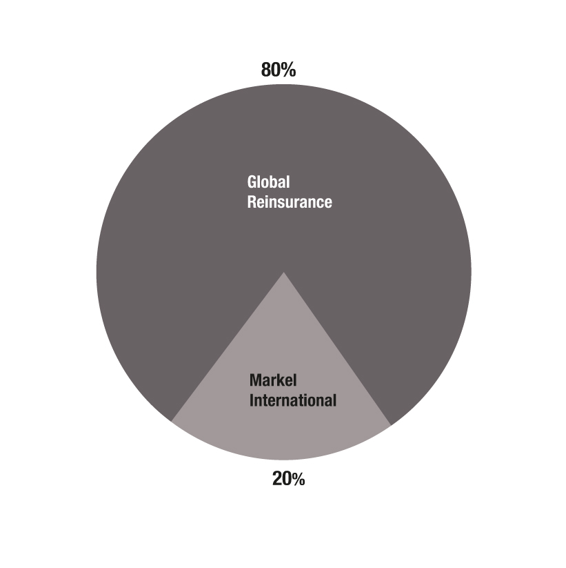 reinsurancedivisions16.jpg