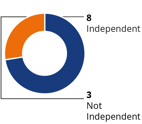 03_426704-1_pie_boardsnapshot_1_director-independence.jpg