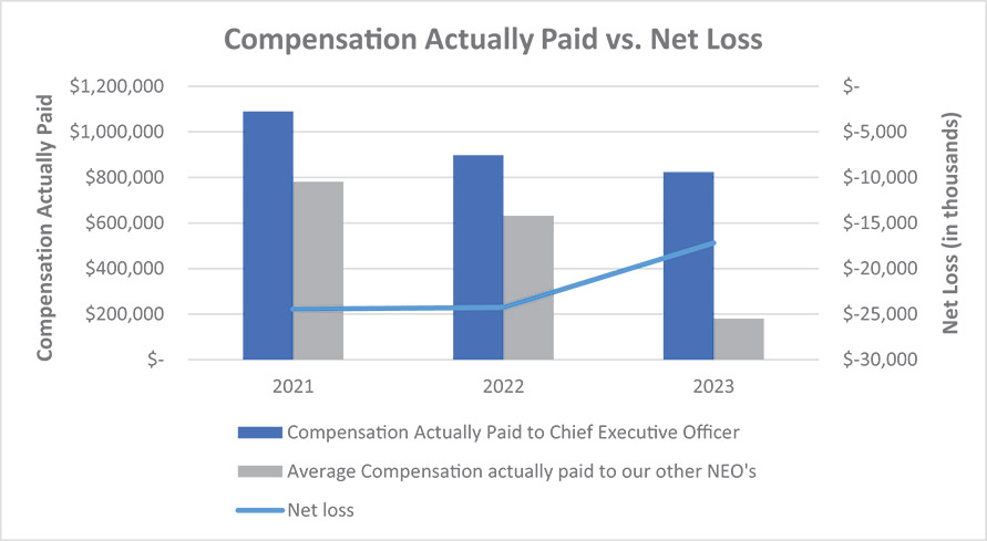 [MISSING IMAGE: bc_netloss-4c.jpg]