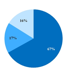 chart-5f79e1095d08317a94d.jpg