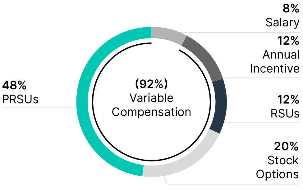 03_427404-1_pie_Compensation_CEO_target total.jpg