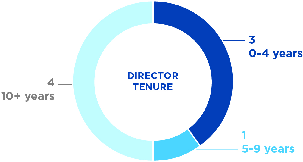 03_429139-1_pie_director_tenure.jpg