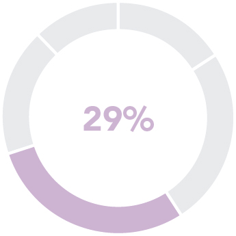 piechart_pay at glance_ceoPSA.jpg