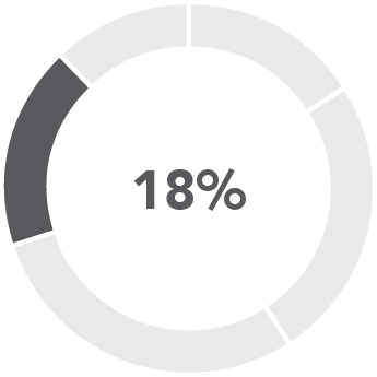 piechart_pay at glance_ceoPRSU.jpg