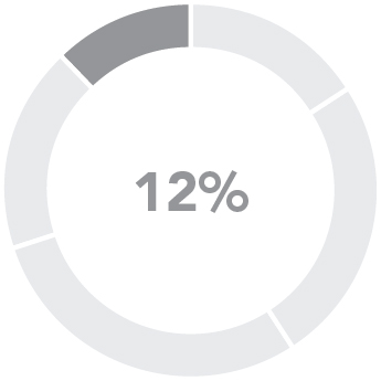 piechart_pay at glance_ceoStockOption.jpg