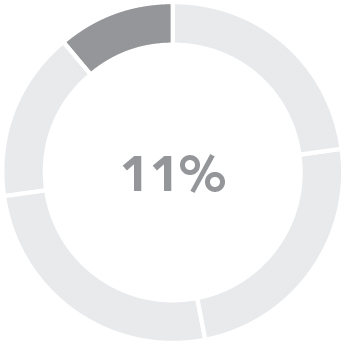 piechart_pay at glance_neoStockOption.jpg