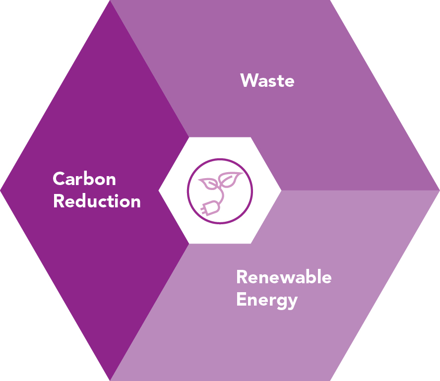 graphic_environmental sustainability.jpg