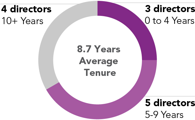 03_424184-1_piechart_boardComposition_tenure.jpg