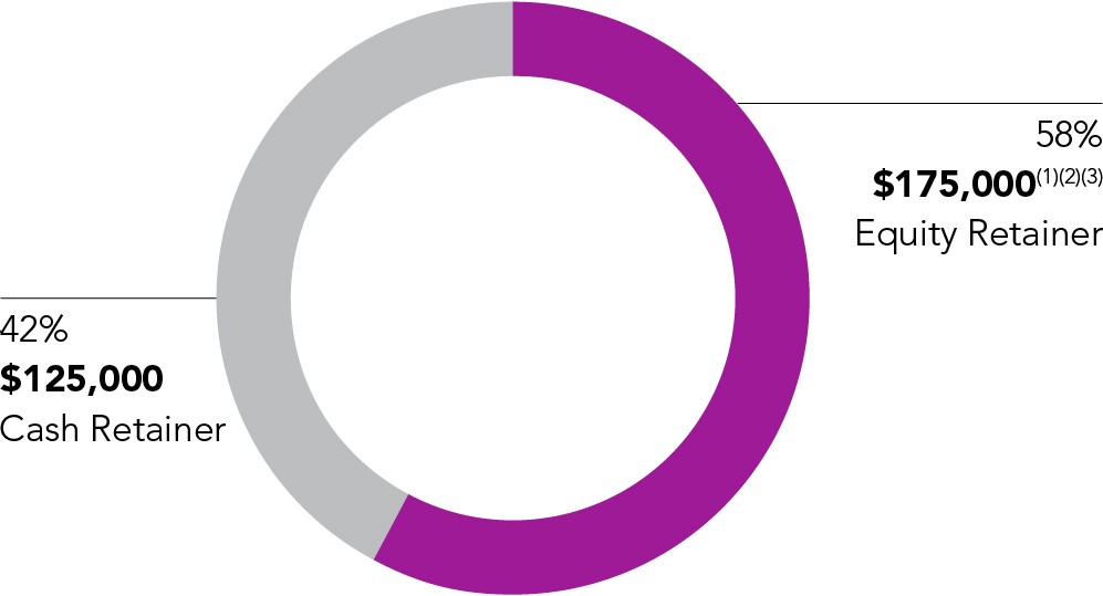 piechart_directorcompensation.jpg