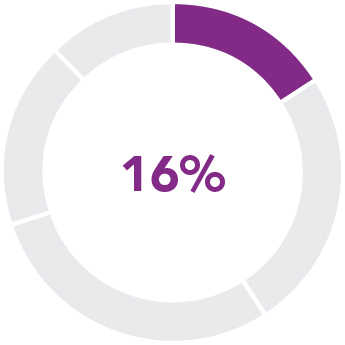 piechart_pay at glance_ceoBaseSalary.jpg