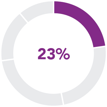 piechart_pay at glance_neoBaseSalary.jpg