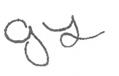 A close-up of a signature

Description automatically generated