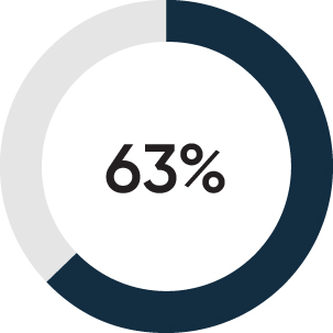 03_424307-1_piechart_strengtheningtransparency63.jpg