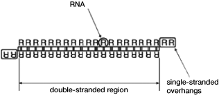 (PERFORMANCE GRAPH)