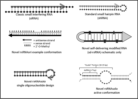 (FIGURE 4)