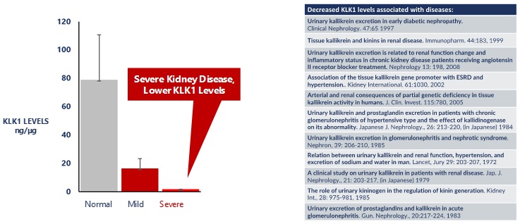 kidneydisease.jpg