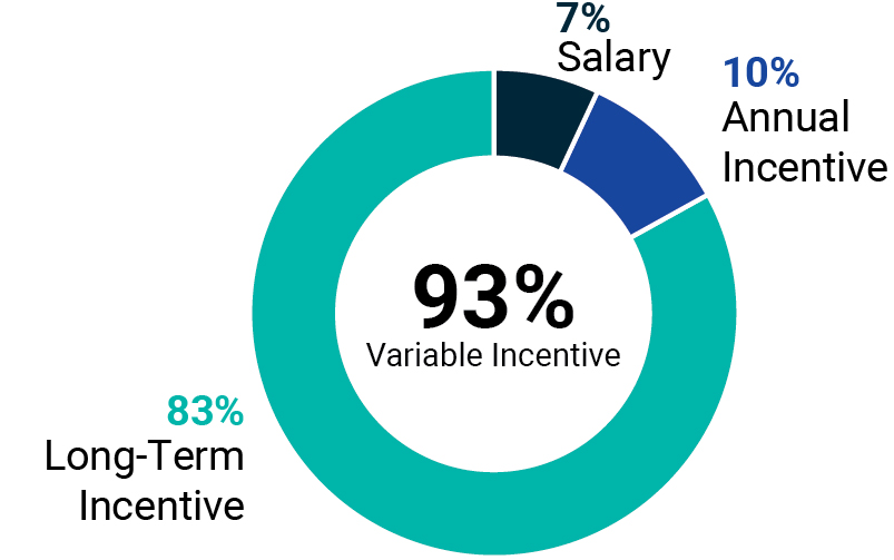 03_425462(1)_31_MSCI_Piechart_CEO.jpg