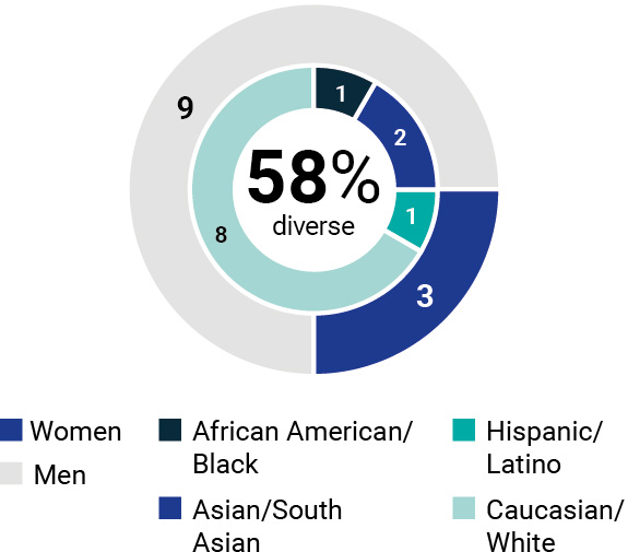 03_425462(1)_piechart_diversity.jpg